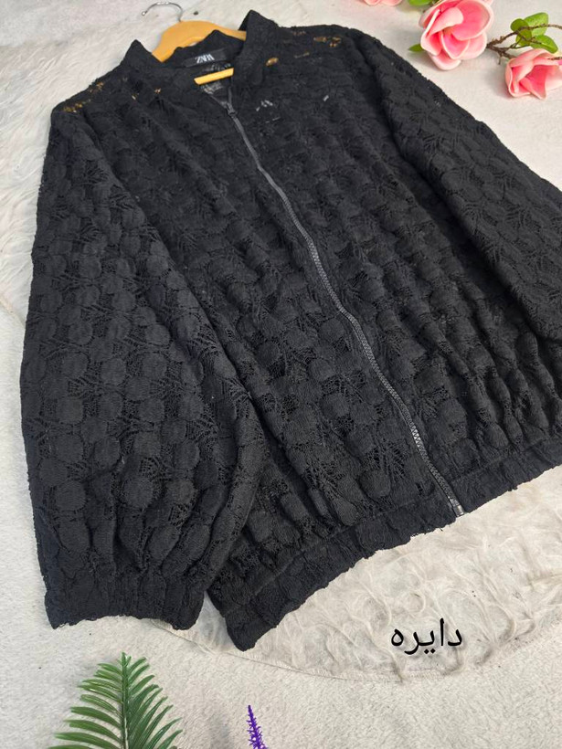 بامبر گیپور جنس دانتل